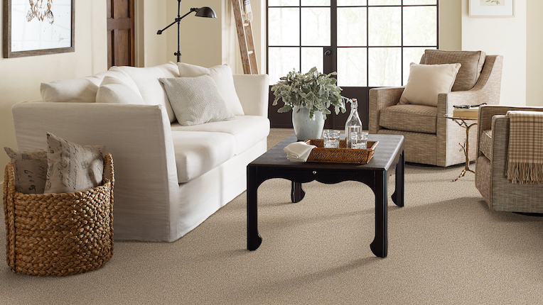 carpet in a living room 